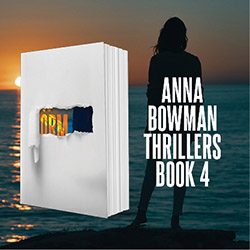 a book superimposed over an image of a woman standing on a beach watching the sun set